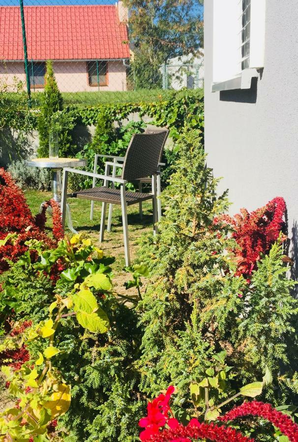 Apartmán U ZÁMECKÉ DYJE Lednice Exterior foto